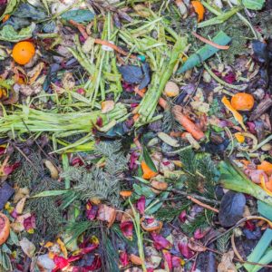 Green Waste 6 green waste sydney