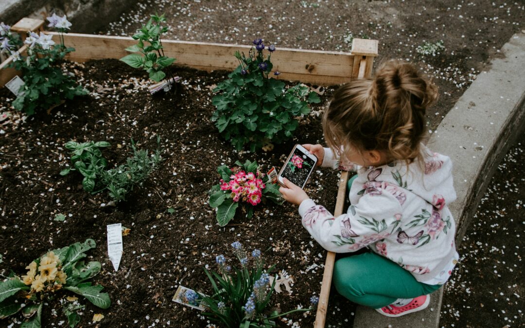 From Drab to Fab: DIY Garden Renovations to Spruce Up Your Space