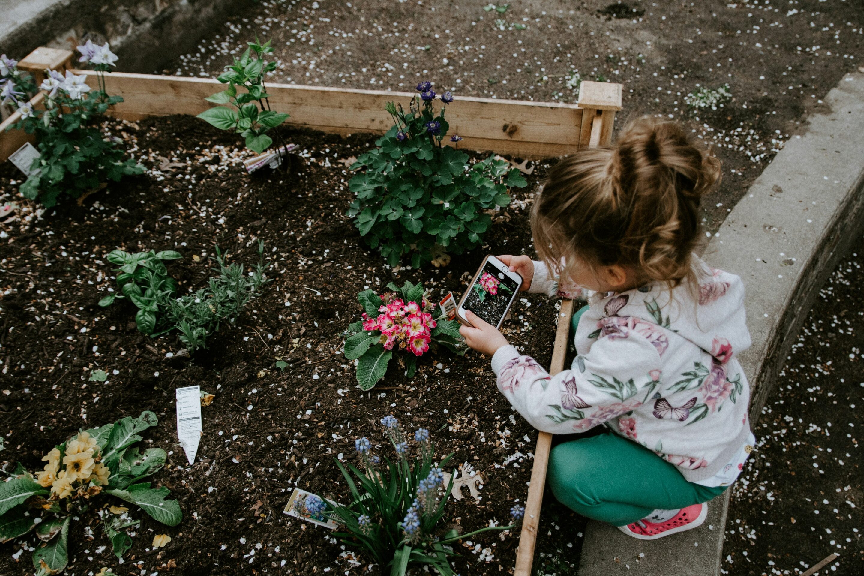 diy garden renovations