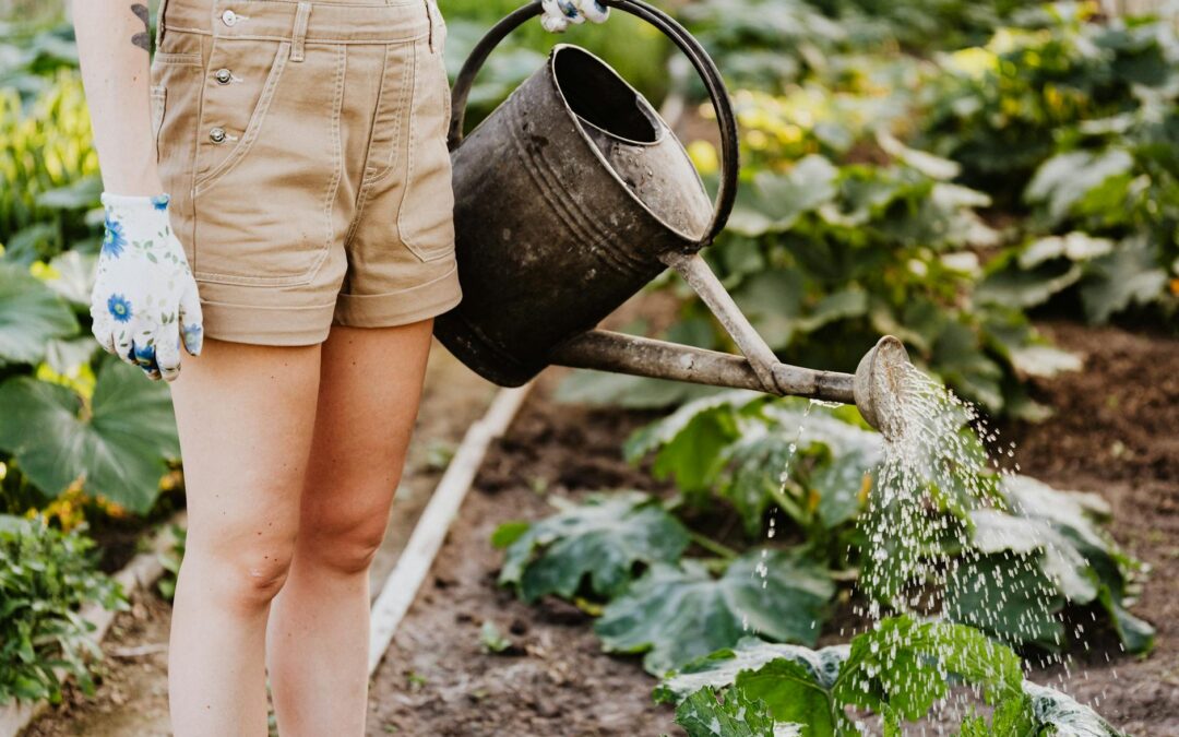 Introduction to Green Waste Removal