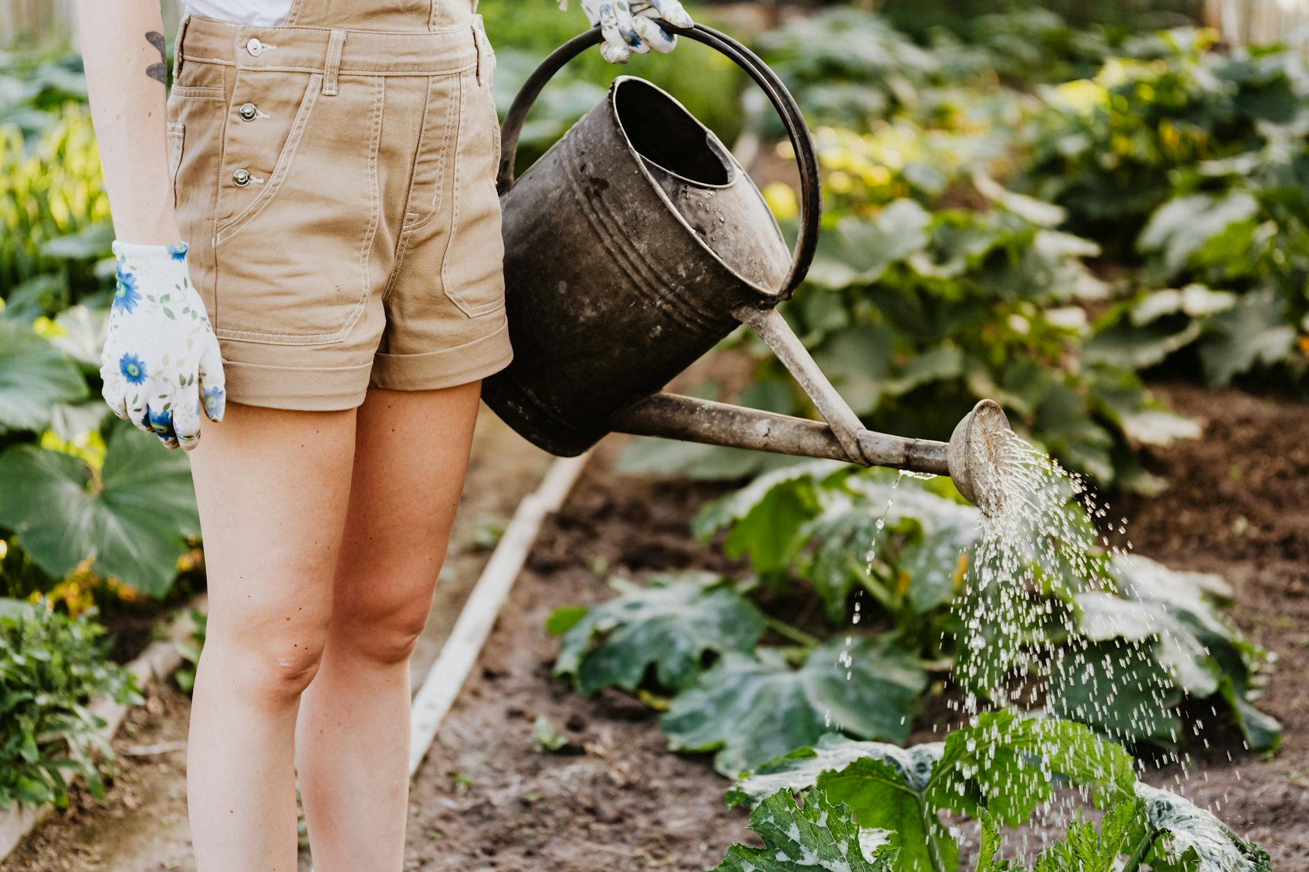 green waste removal