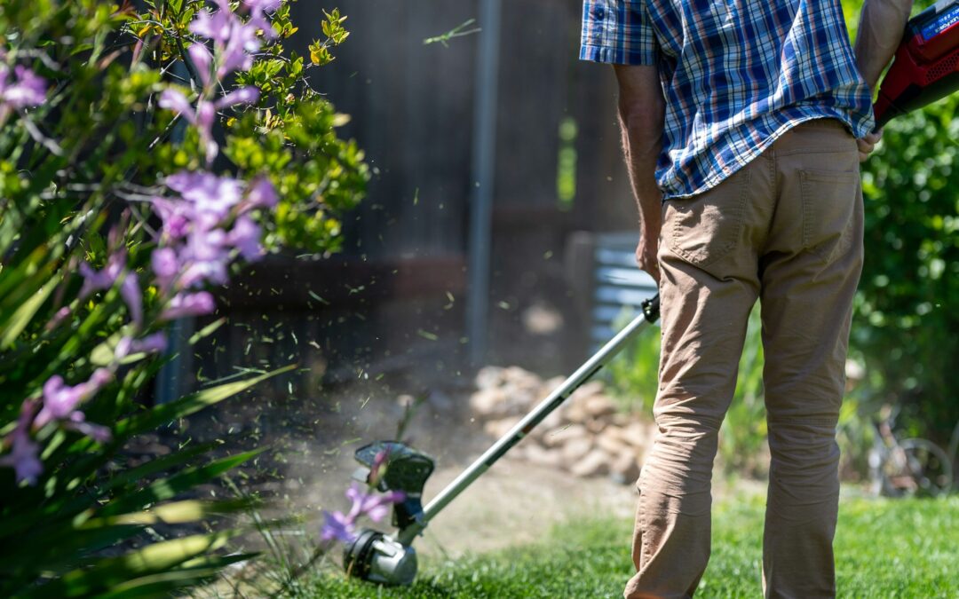 Skip Bins for Landscaping Projects