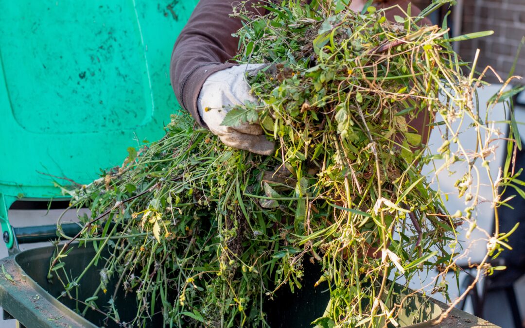 Green Waste Disposal: How to get rid of it responsibly