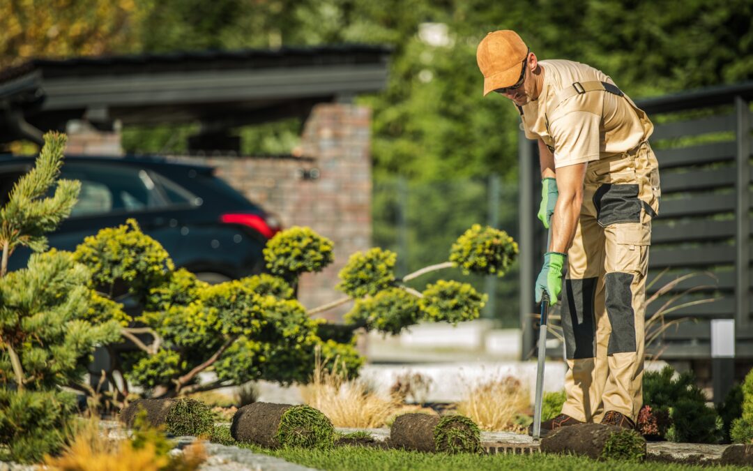 How to manage your green waste with gardening services.