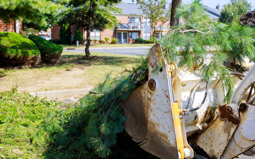 Getting rid of your garden green waste (once and for all)