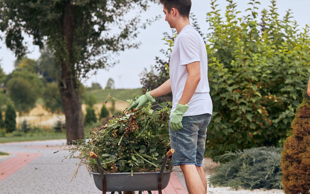 Skip Bin Hire vs. Green Waste Removal Services