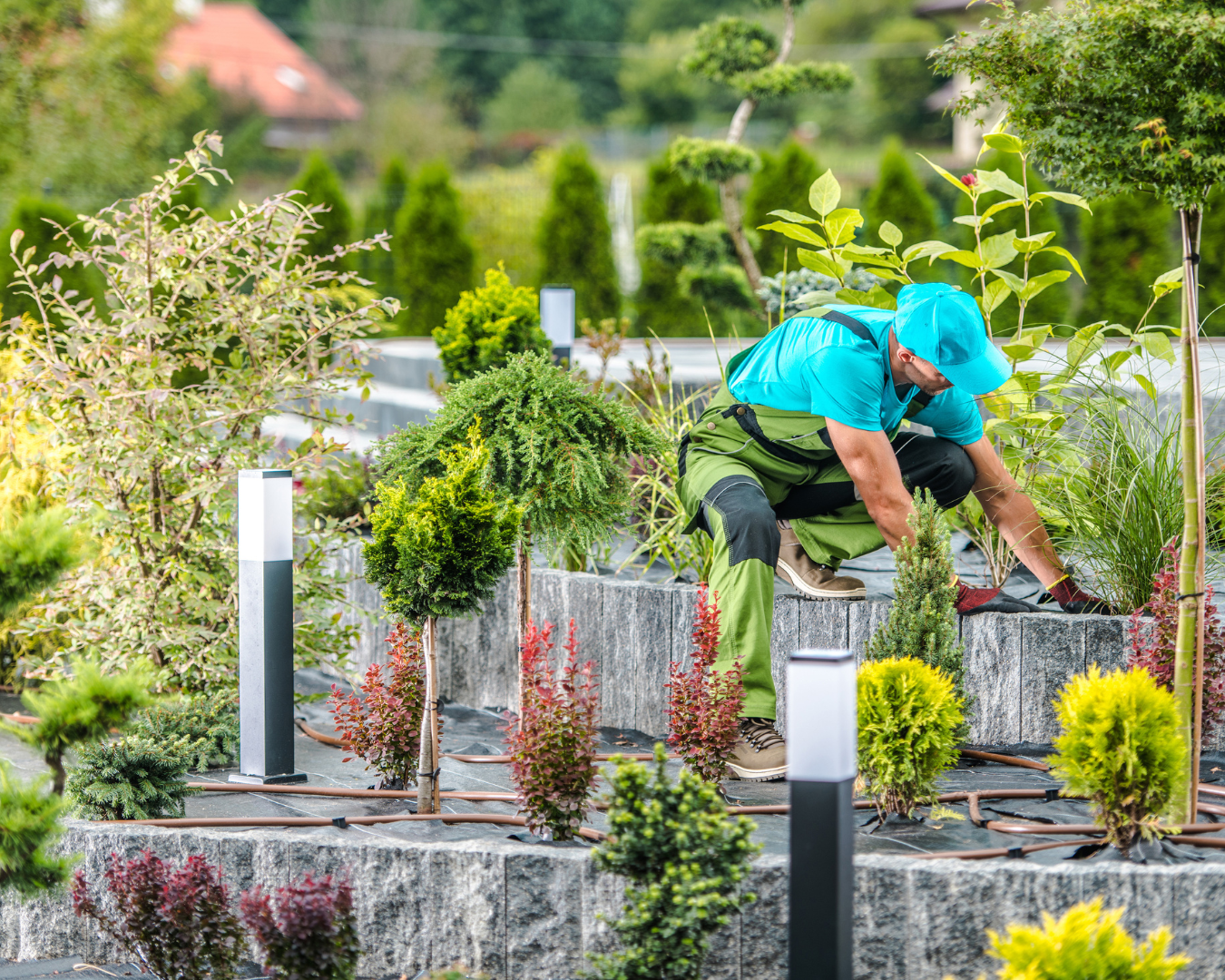 Manage your home landscaping project with these waste manage